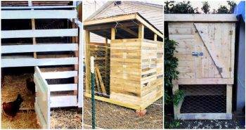 20 Pallet Chicken Coop Plans You Can Build On Low Budget