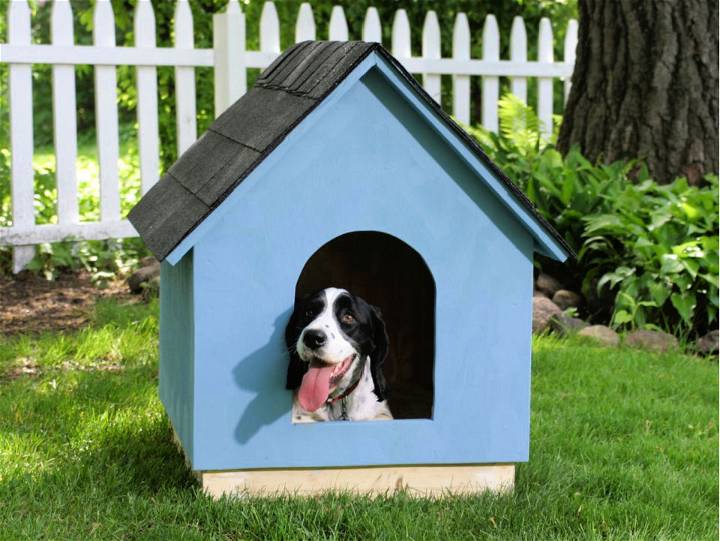 A frame Dog House