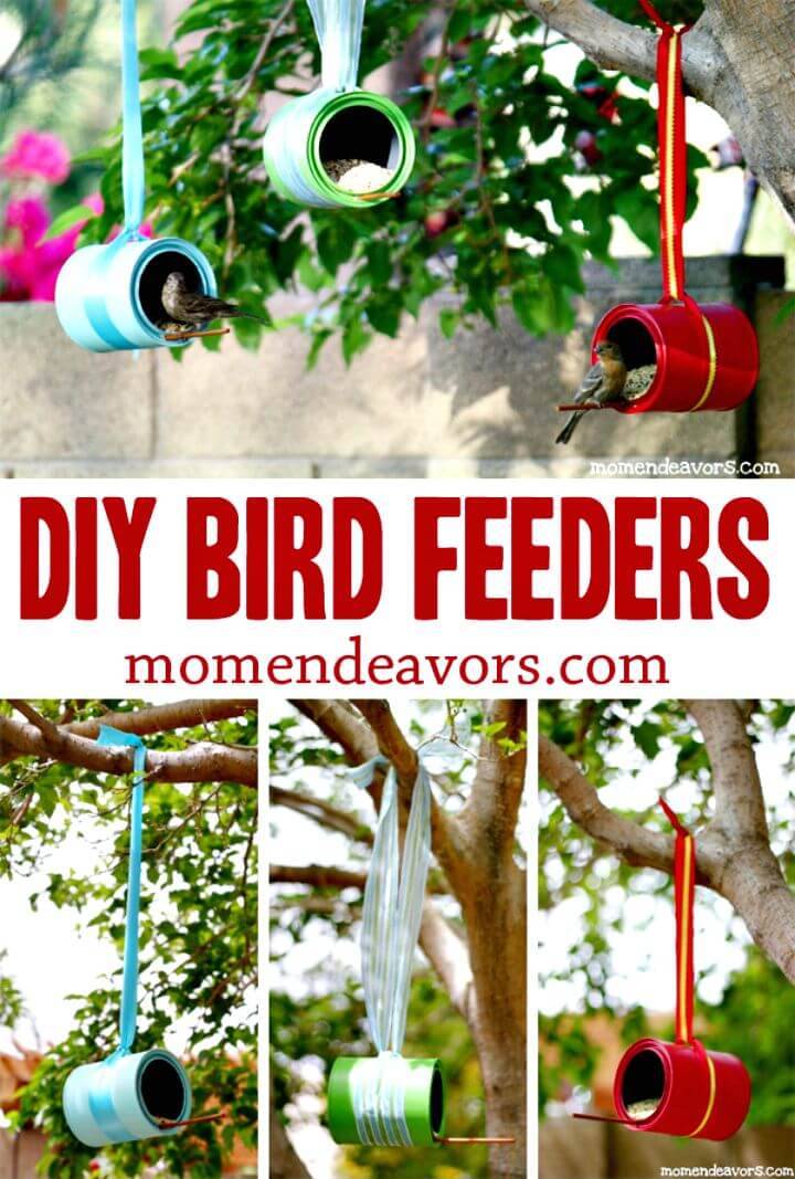 DIY Bird Feeders - A Simple Summer Craft