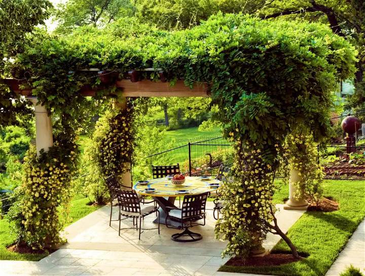 Beauitful Covered Patio