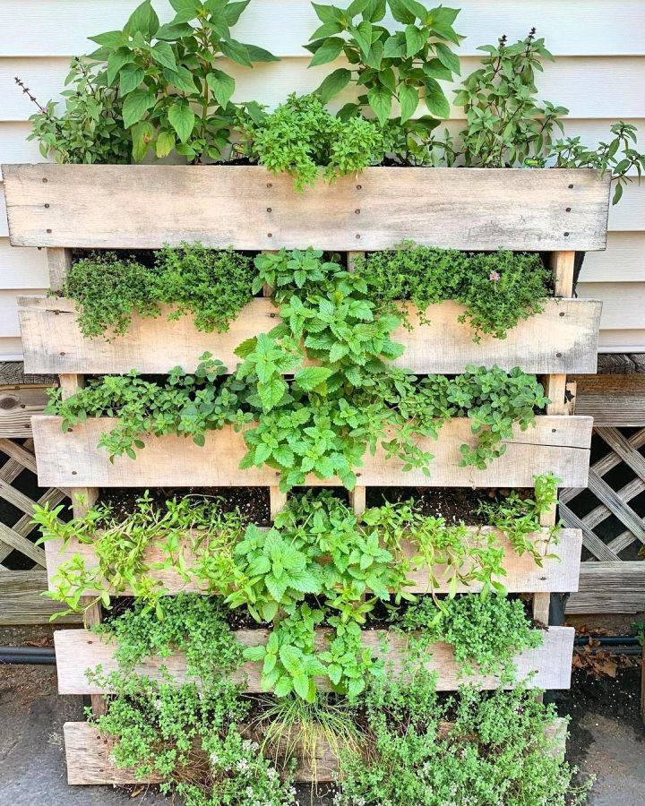 build vertical pallet herb garden