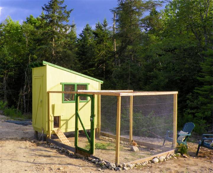 Build Your Own Chicken Coop and Run