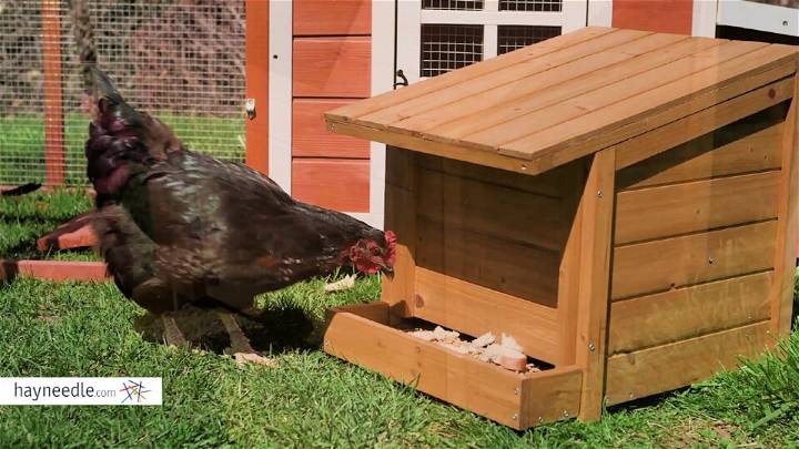 Build Your Own Chicken Feeder
