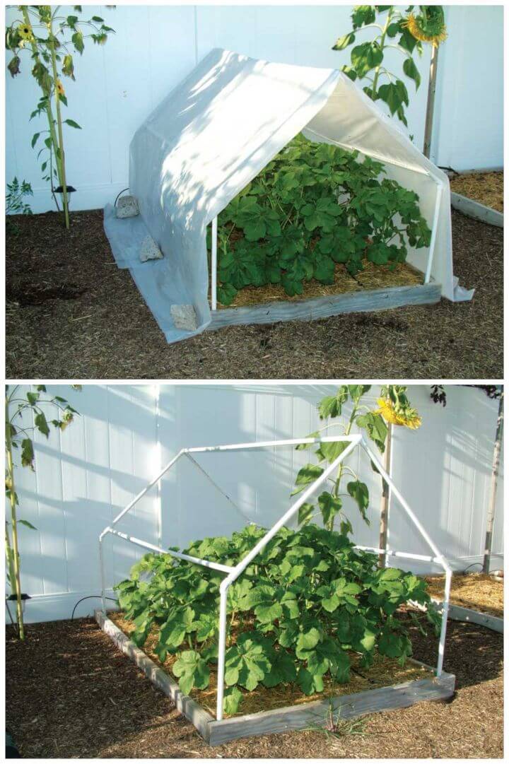 Build Your Own PVC Pipe Greenhouse