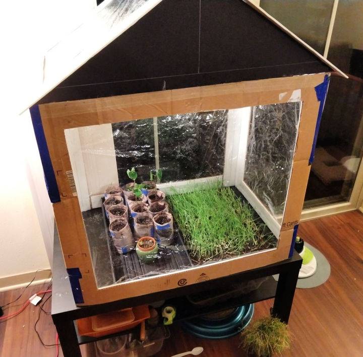 Cardboard Greenhouse