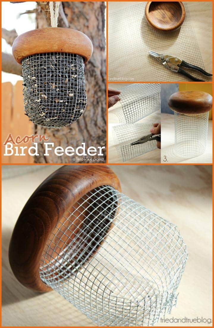 self-made acorn baby bird feeder