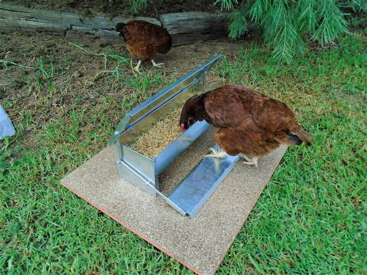 DIY Automatic Chicken Feeder