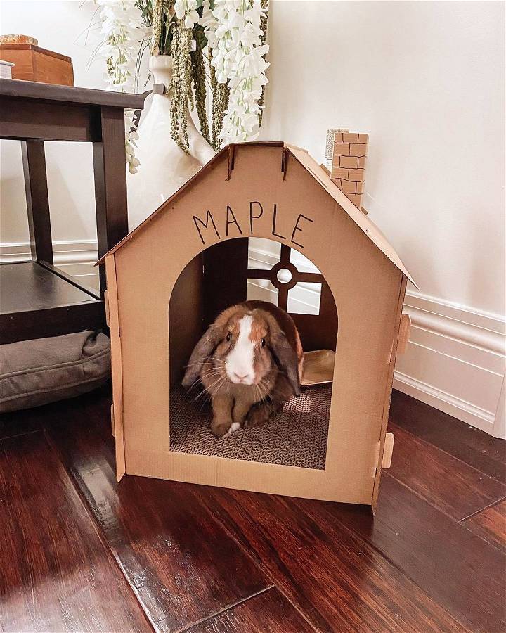 diy cardboard rabbit house