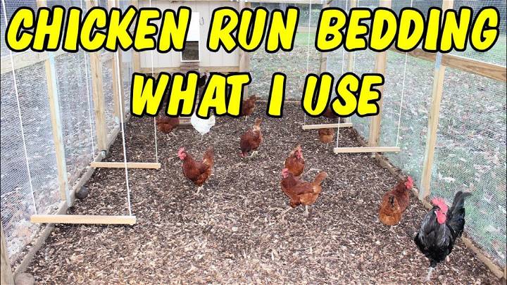 DIY Chicken Run with Wood Chips
