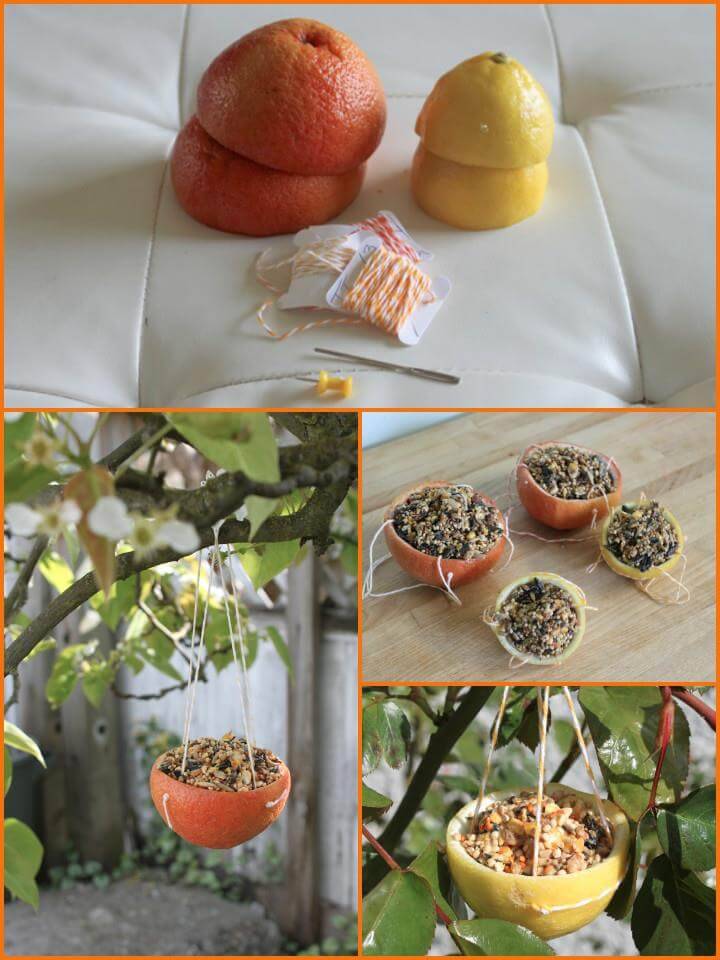 handmade citrus cup bird feeder