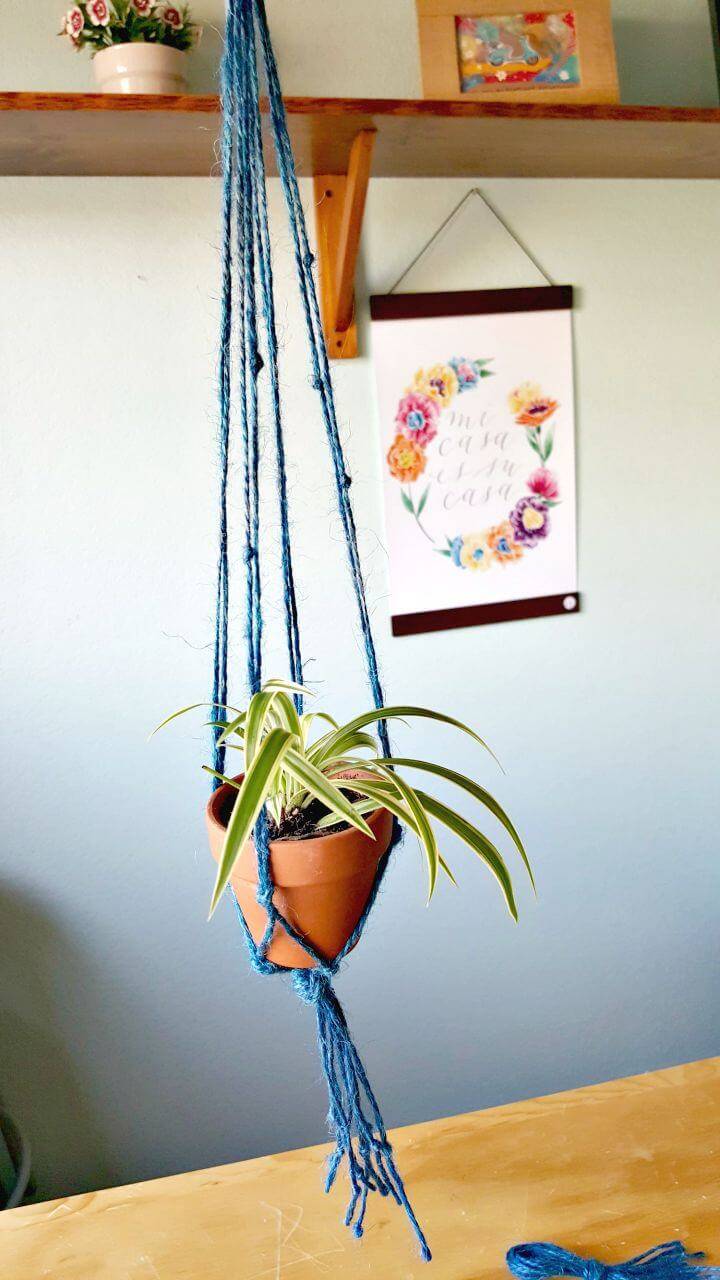 DIY Cute Macrame Plant Hanger