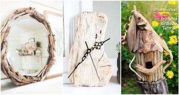 DIY Driftwood Art and Craft Ideas for Home Decor