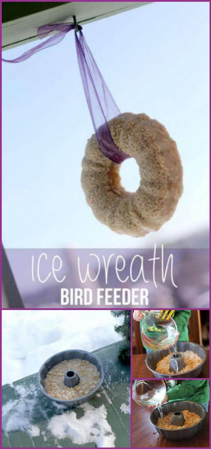 special ice wreath bird feeder