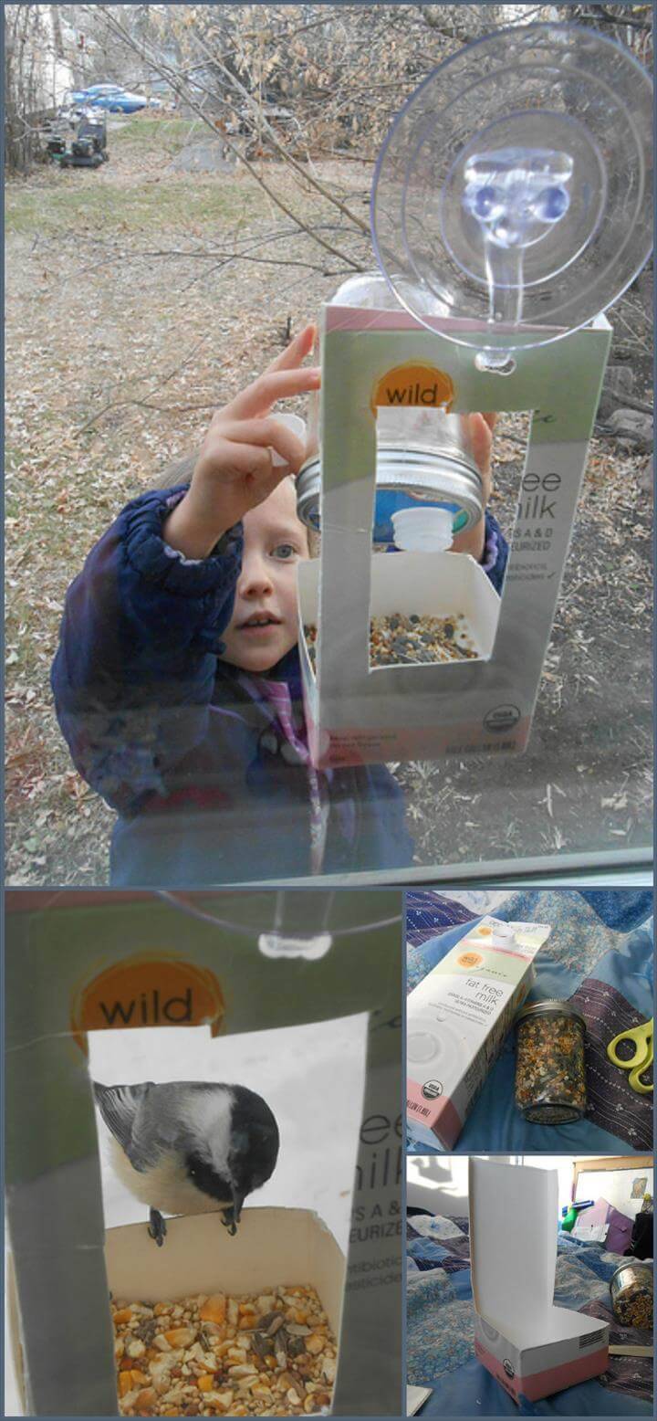 quick kid-made window bird feeder
