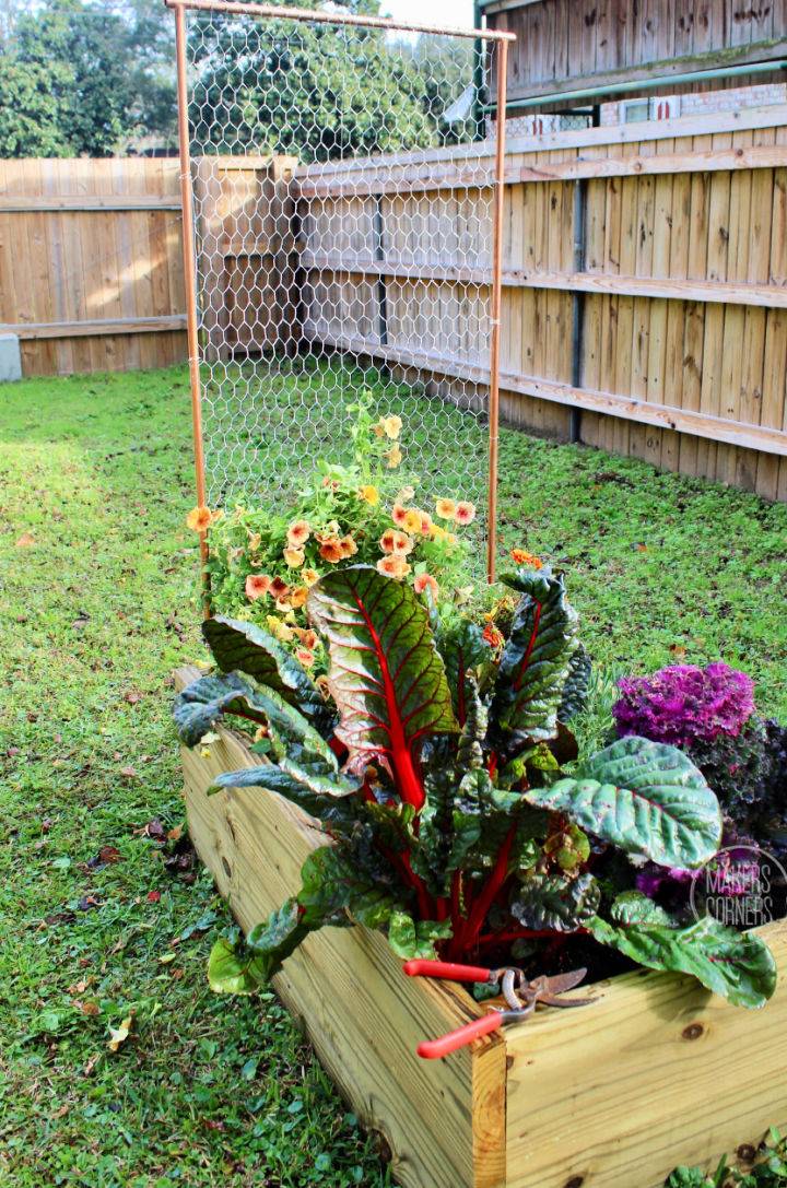 DIY Garden Trellis Using Chicken Wire