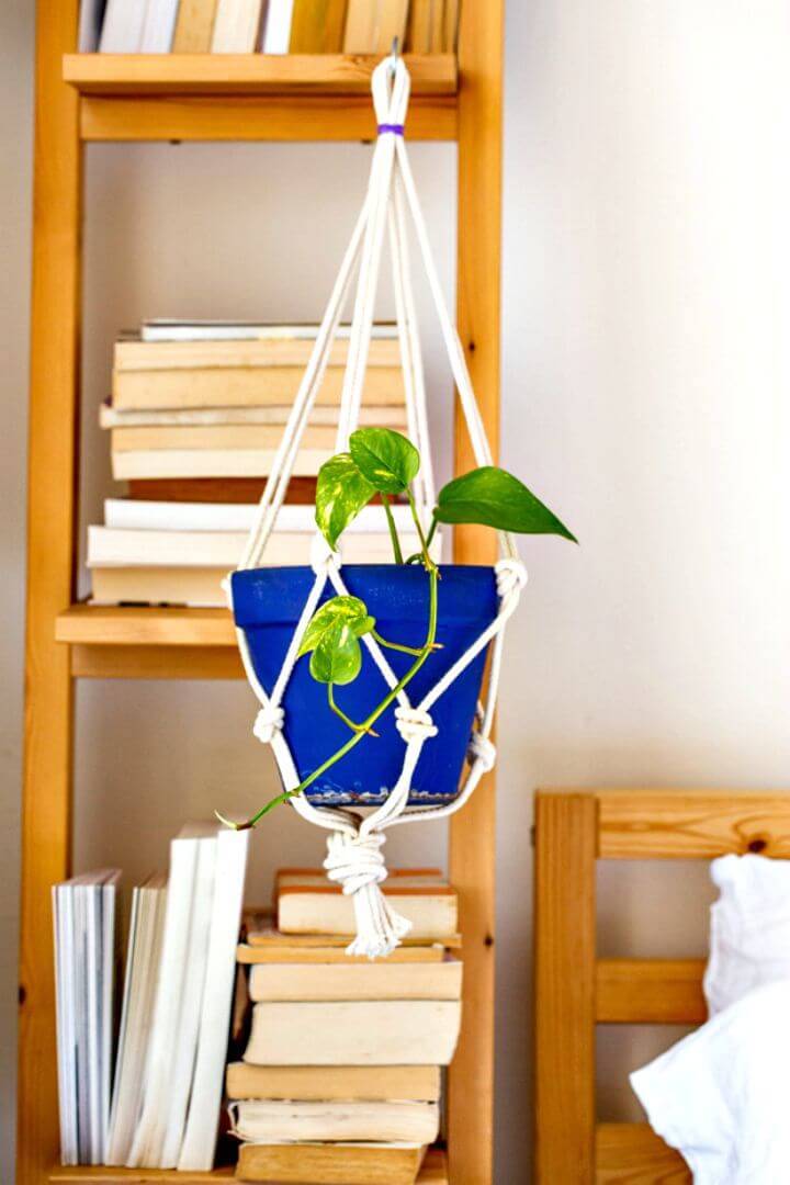 How To Little Nicki’S Simple Knotted Plant Hanger