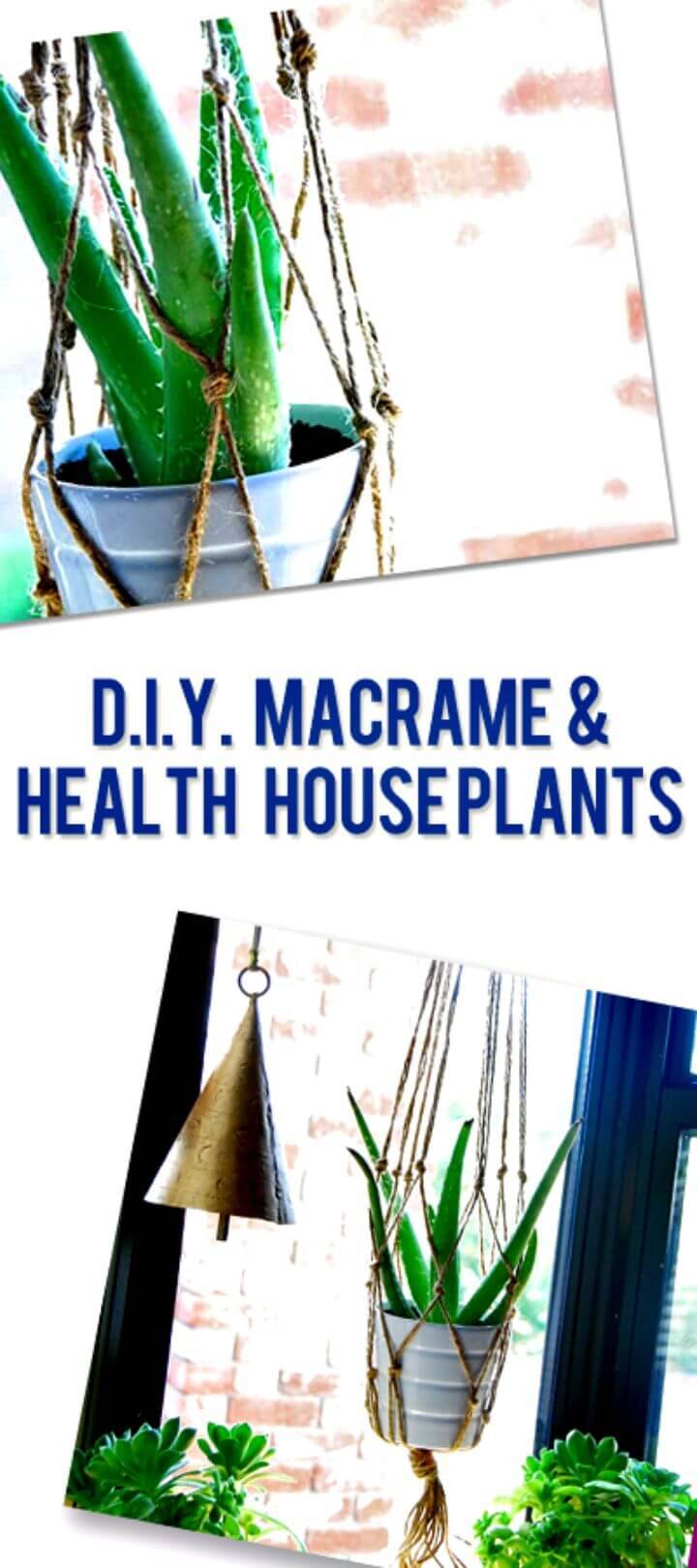 How To Make A Macrame And Healthy House Plants