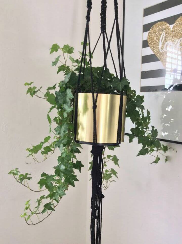 DIY Macrame Gold Plant Hanger