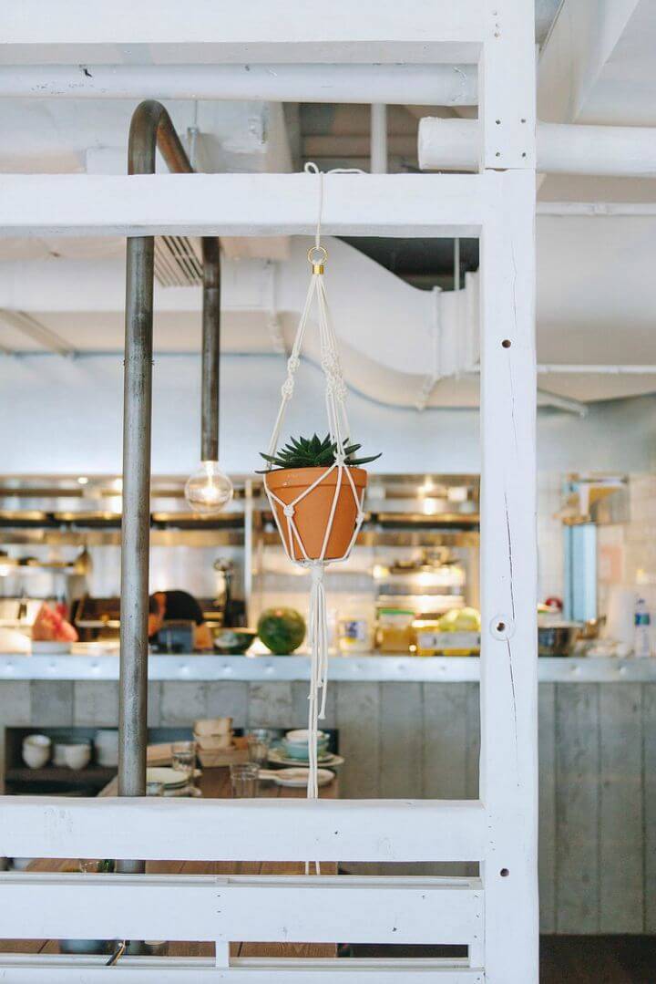 DIY Macrame Plant Hangers At Lime-wood