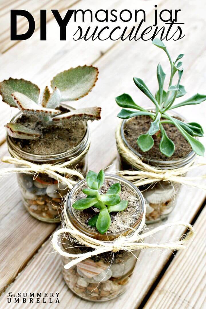 How to DIY Mason Jar Succulents