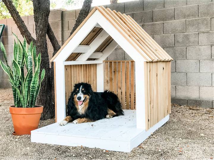 DIY Modern Dog House