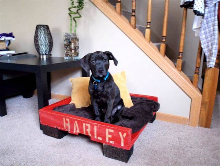 DIY Pallet Dog Bed Idea to Make At Home