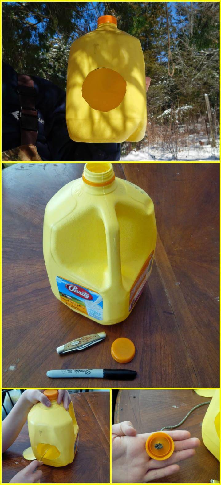 repurposed milk jug bird feeder