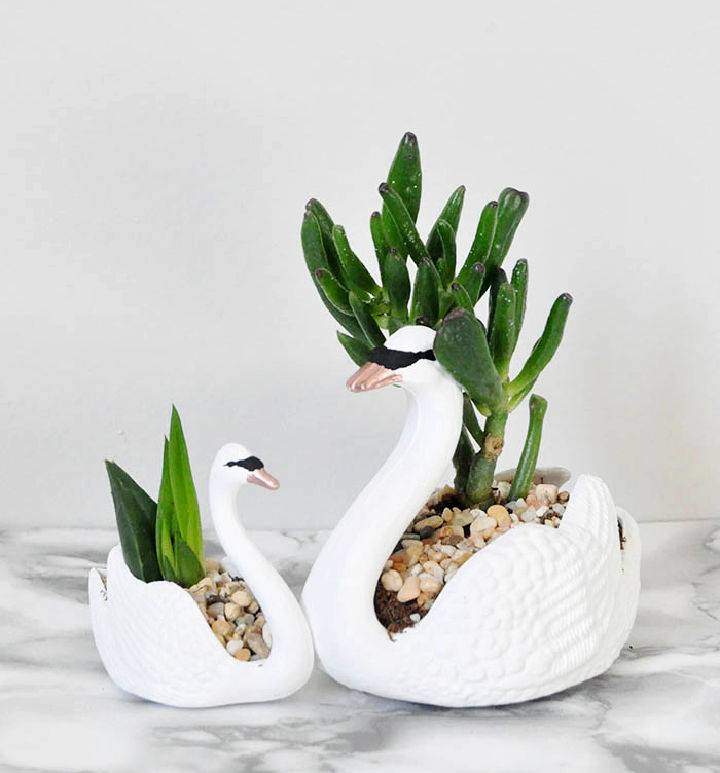 DIY Swan Succulent Planters