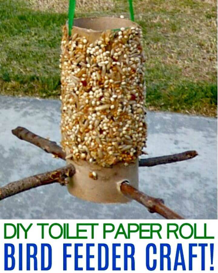 Simple DIY Toilet Paper Roll Bird Feeder Craft