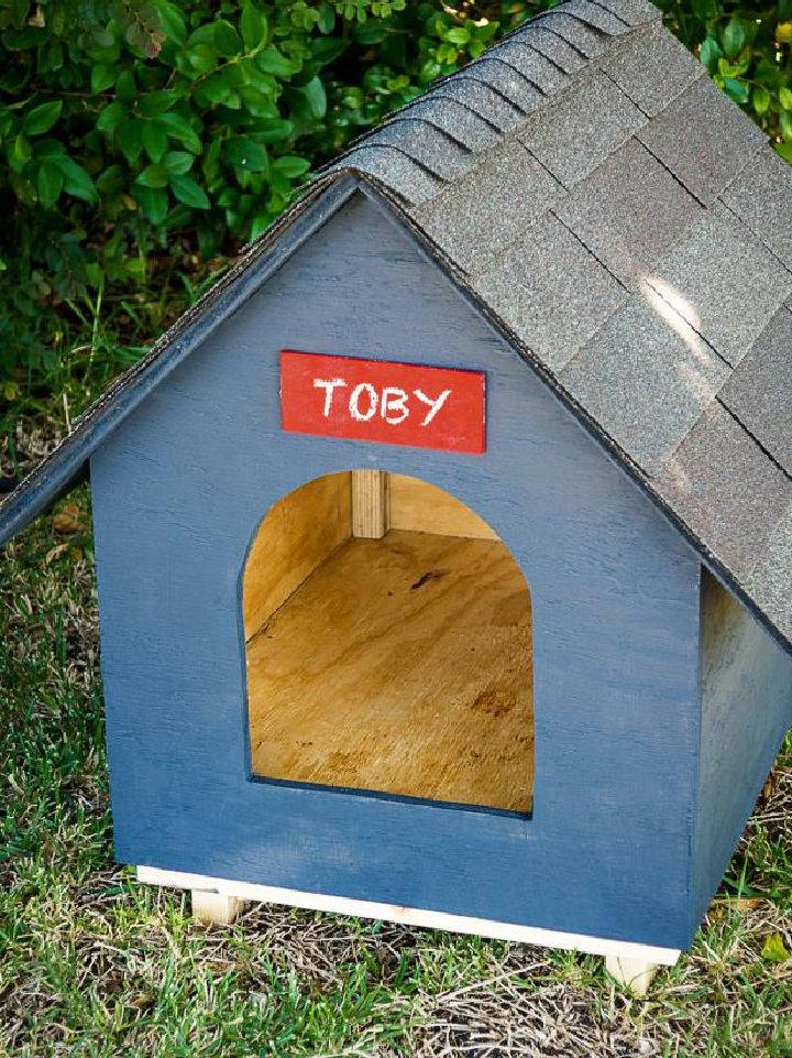 Dog House Using Plywood