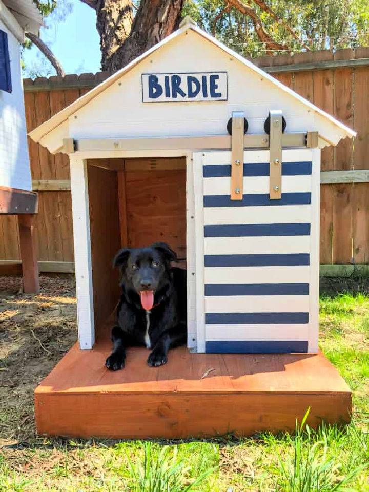 Dog House with Barn Door