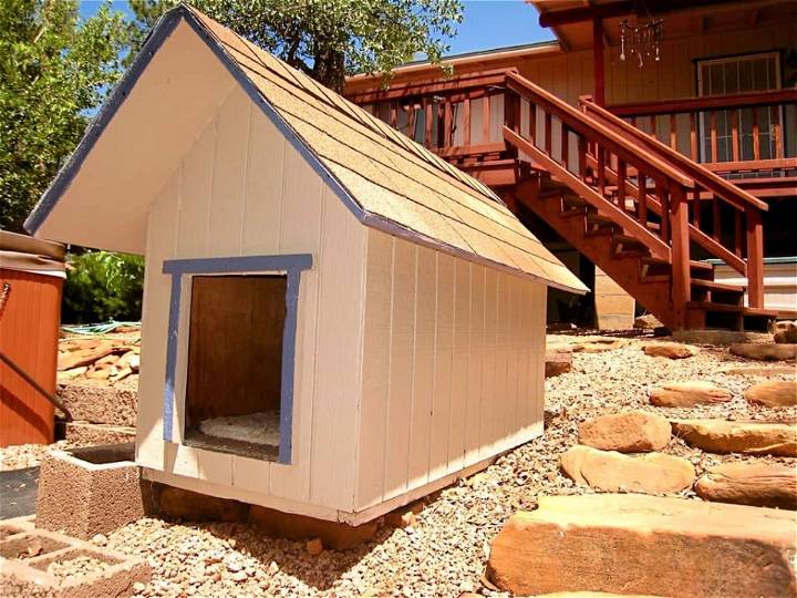 Doghouse Out of Pallets