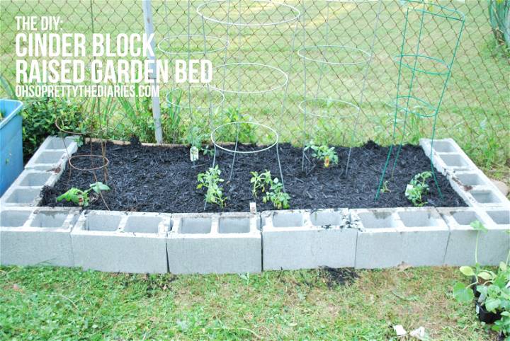 Homemade Cinder Block Raised Garden Bed