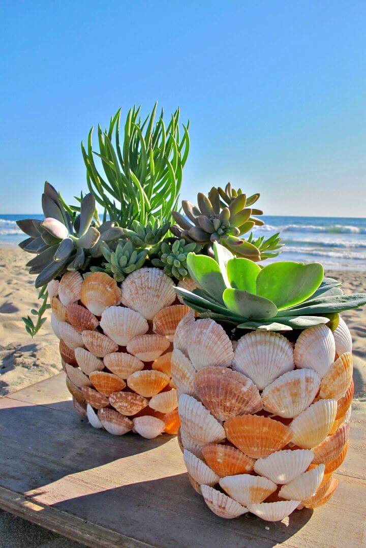 Adorable DIY Beachy Shell Planter