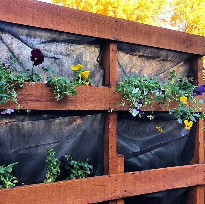 Made a standing garden out of a pallet and am finally planting in it.