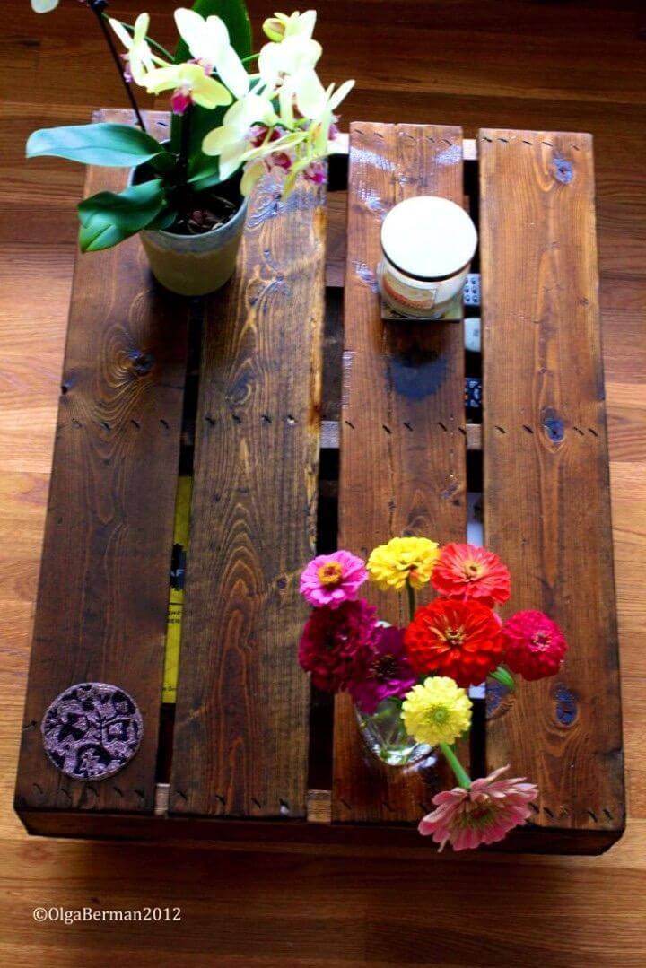 Make Your Own Pallet Coffee Table 1