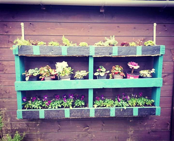My first little pallet garden is finally up on the shed