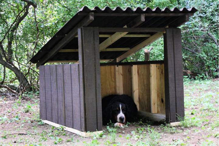 Open air Doghouse