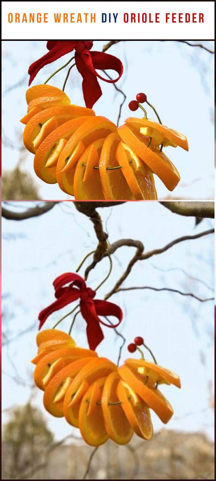 orange slices wreath oriole feeder