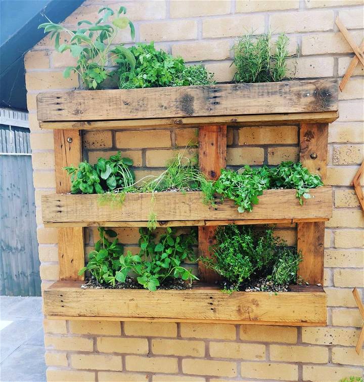 simple wooden pallet herb gardening idea