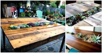 Top 6 DIY Succulent Table Tutorials Make Your Own Succulent Table