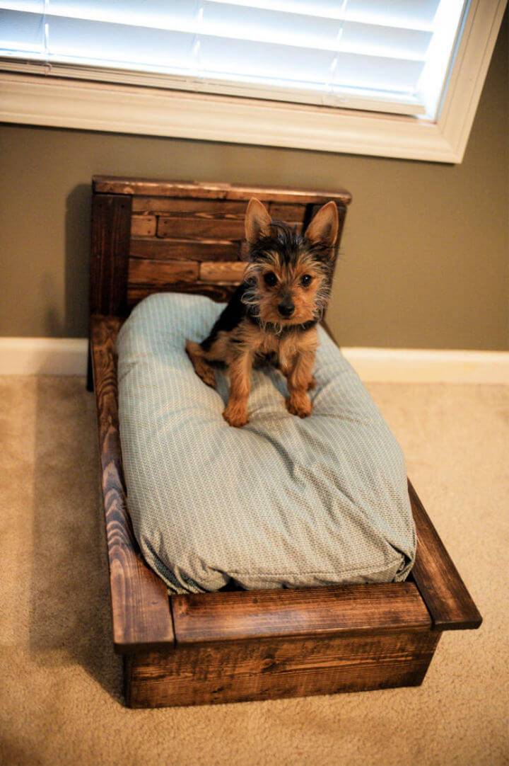 Turn Pallet into Dog Bed