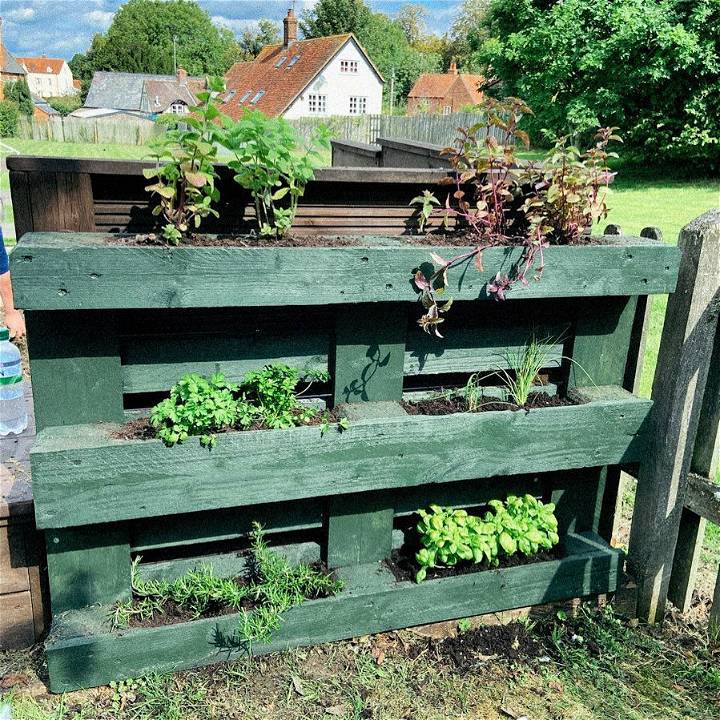 very happy with how this pallet herb garden turned out.